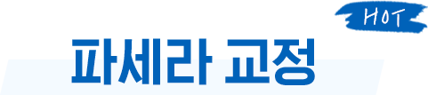 파세라 교정 new